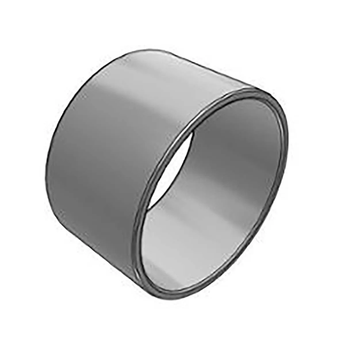 SKF IR 55X60X35